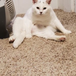 Meet your Posher, Jo